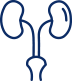 kidney biopsy